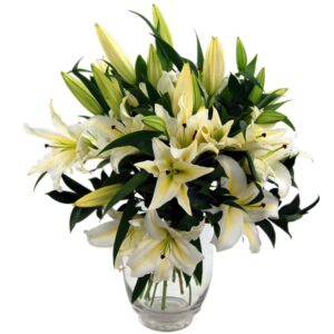 Simply Lilies