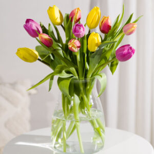 Spring Tulips