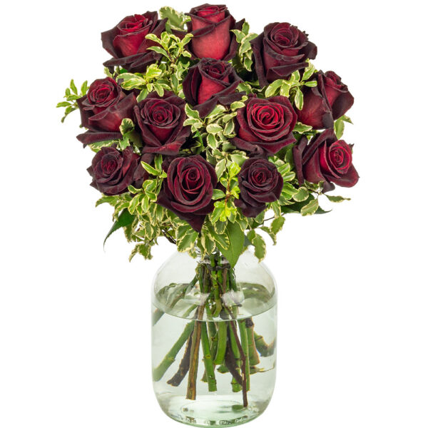 12 Black Baccara Roses