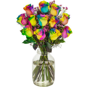 12 Happy Rainbow Roses